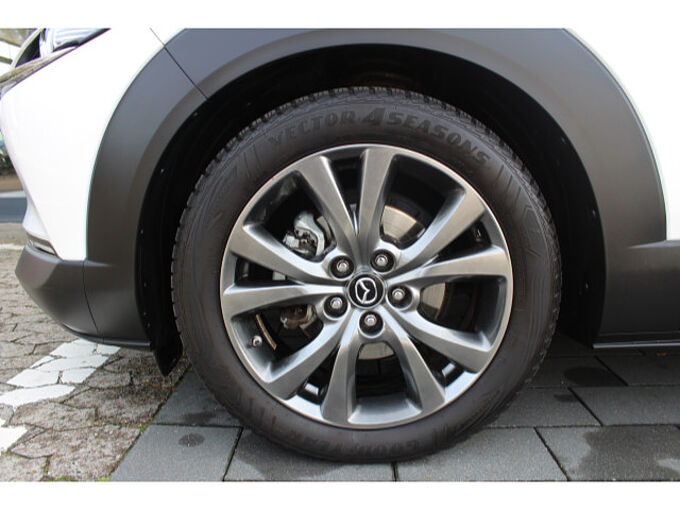 Mazda CX-30 2.0 SKYACTIV-X M Hybrid Selection Matrix 