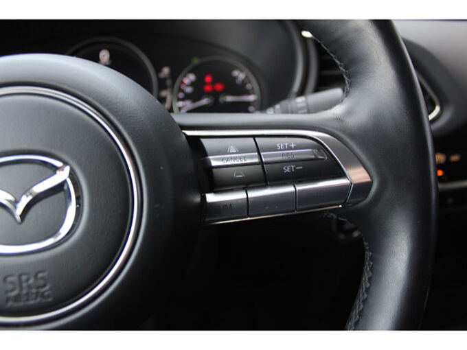 Mazda CX-30 2.0 SKYACTIV-X M Hybrid Selection Matrix 