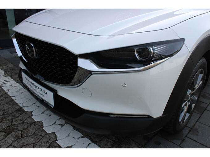 Mazda CX-30 2.0 SKYACTIV-X M Hybrid Selection Matrix 