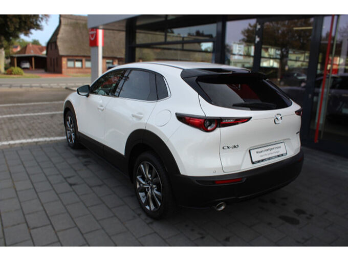 Mazda CX-30 2.0 SKYACTIV-X M Hybrid Selection Matrix 