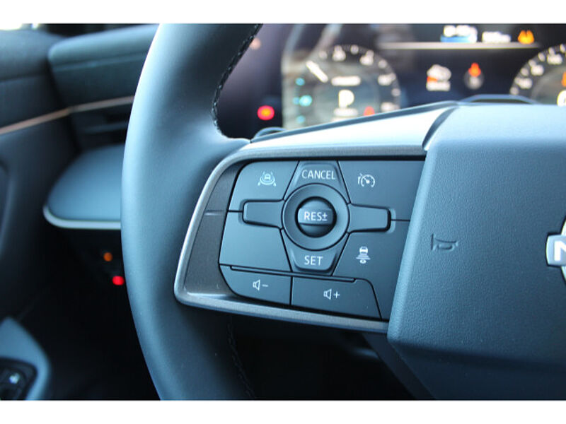 Nissan Leaf 75 kWh Advance 2Farben
