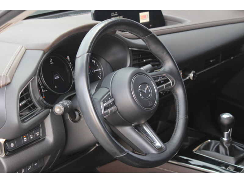 Mazda CX-30 2.0 SKYACTIV-X M Hybrid Selection Matrix