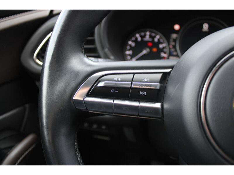 Mazda CX-30 2.0 SKYACTIV-X M Hybrid Selection Matrix