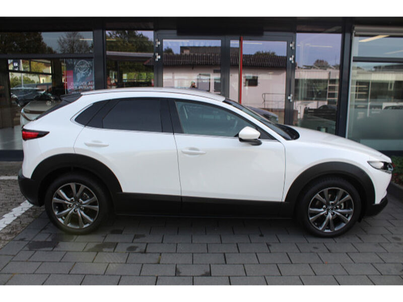 Mazda CX-30 2.0 SKYACTIV-X M Hybrid Selection Matrix