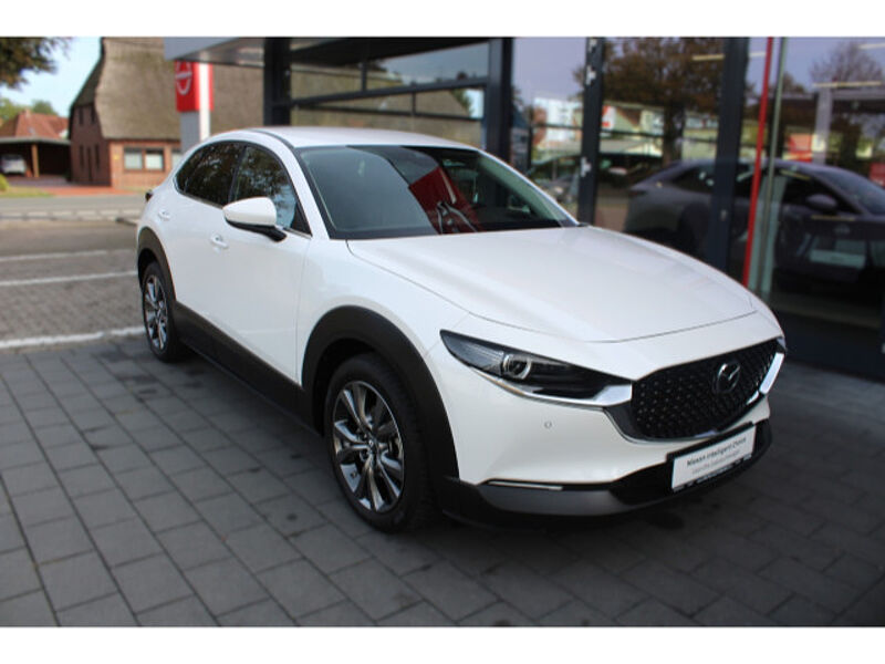 Mazda CX-30 2.0 SKYACTIV-X M Hybrid Selection Matrix