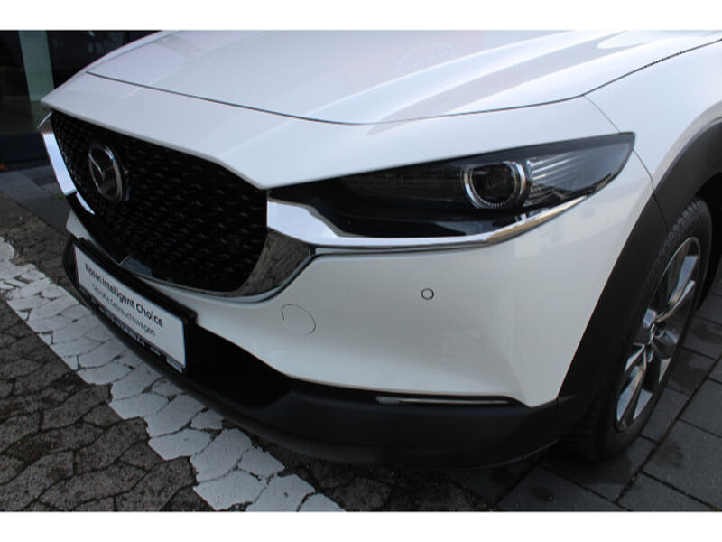 Mazda CX-30 2.0 SKYACTIV-X M Hybrid Selection Matrix