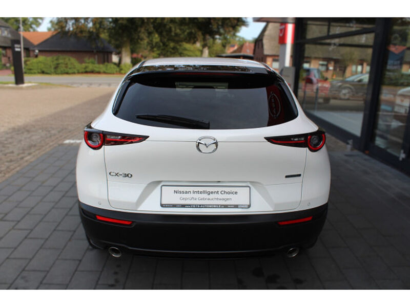 Mazda CX-30 2.0 SKYACTIV-X M Hybrid Selection Matrix